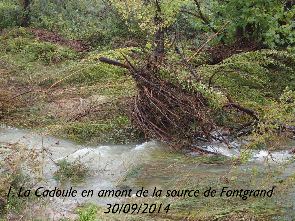 1-La Cadoule en amont de la source de Fontgrand